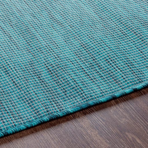 Pasadena PSA-2312 Rug