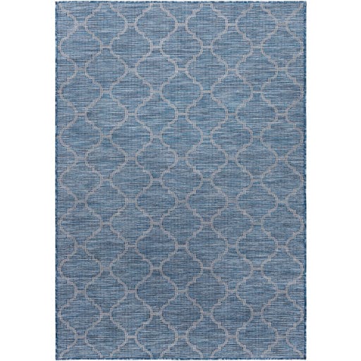 Pasadena PSA-2340 Rug