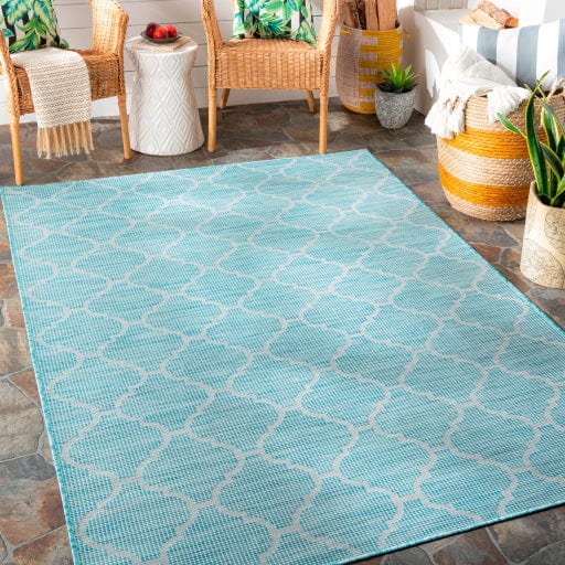 Pasadena PSA-2341 Rug