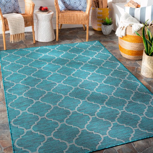 Pasadena PSA-2342 Rug