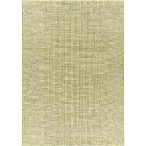 Pasadena PSA-2348 Rug