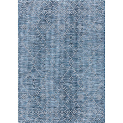 Pasadena PSA-2363 Rug