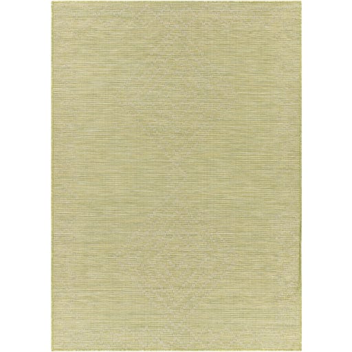 Pasadena PSA-2366 Rug