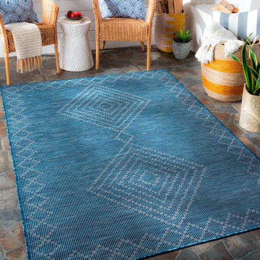 Pasadena PSA-2369 Rug