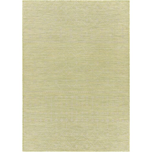 Pasadena PSA-2372 Rug