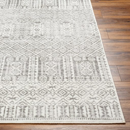 Pisa PSS-2344 Rug