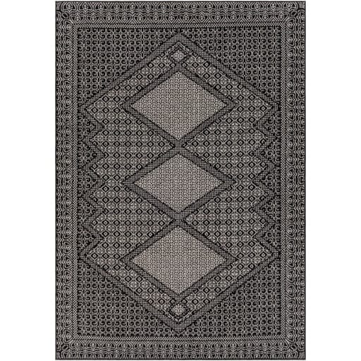 Pisa PSS-2346 Rug