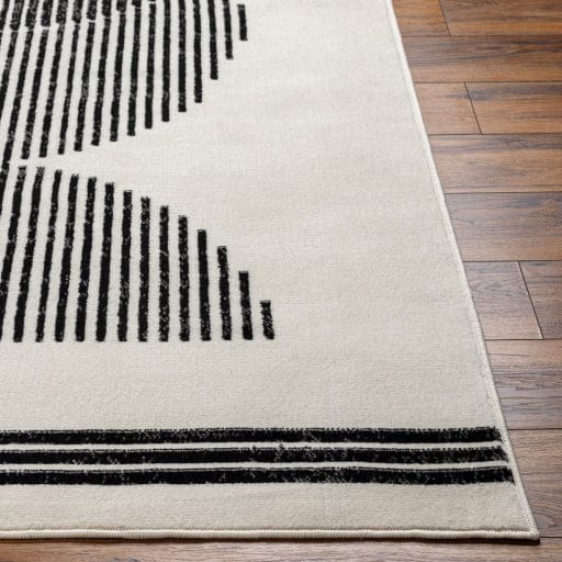 Pisa PSS-2364 Rug