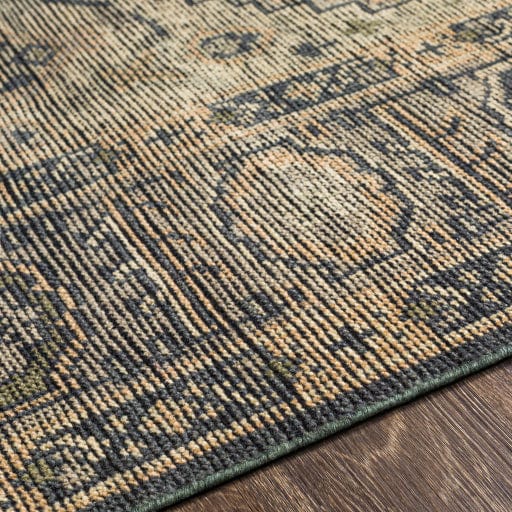 Reign REG-2309 Rug