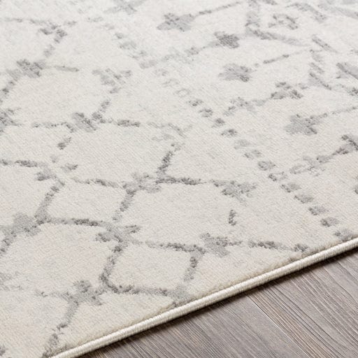 Roma ROM-2376 Rug