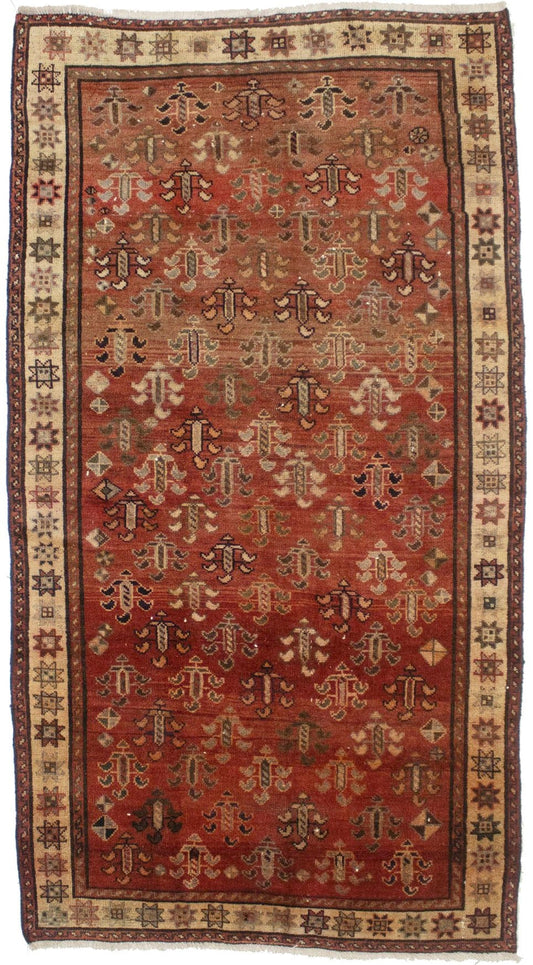 Antique Floral Tribal 5X9 Shiraz Persian Rug