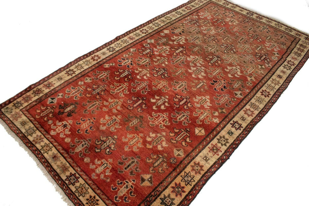 Antique Floral Tribal 5X9 Shiraz Persian Rug