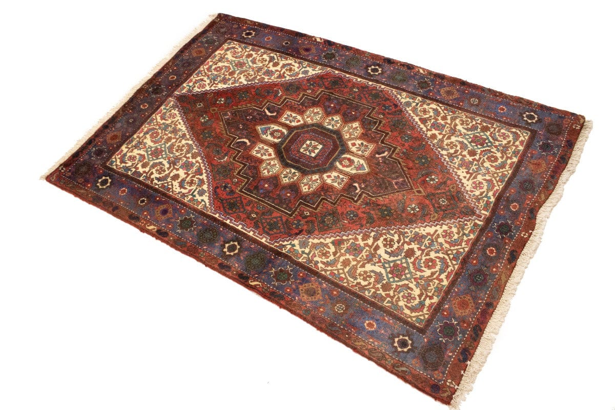 Vintage Floral Geometric 3X5 Bidjar Persian Rug