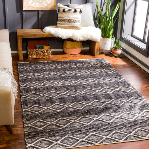 Santa Barbara SBB-2308 Rug