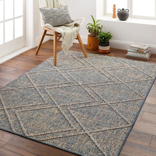 Sarasota SSO-2302 Rug