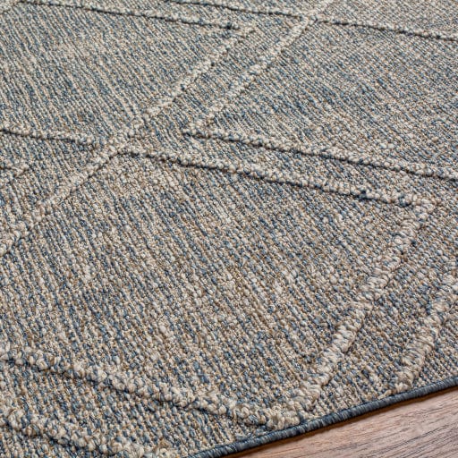 Sarasota SSO-2302 Rug