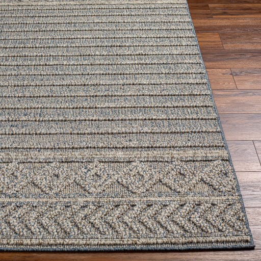 Sarasota SSO-2304 Rug