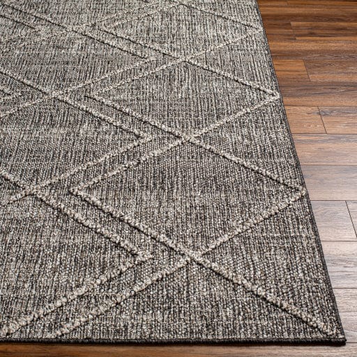 Sarasota SSO-2306 Rug