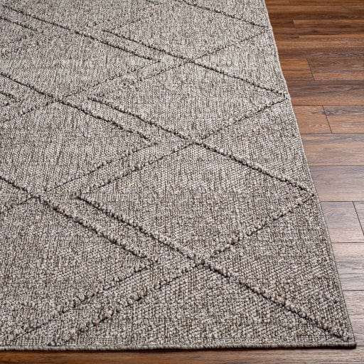 Sarasota SSO-2307 Rug