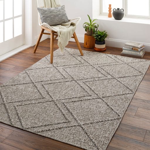 Sarasota SSO-2307 Rug