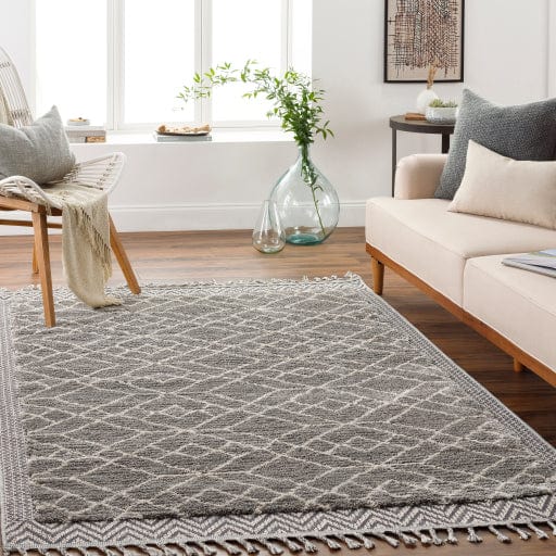 Sousse SUS-2306 Rug