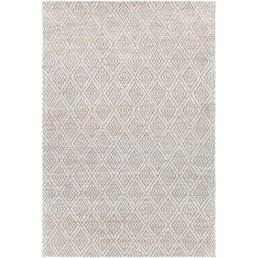 Trace TCE-2301 Rug