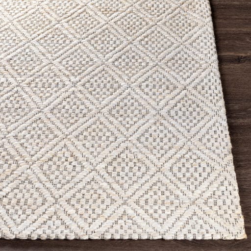 Trace TCE-2301 Rug