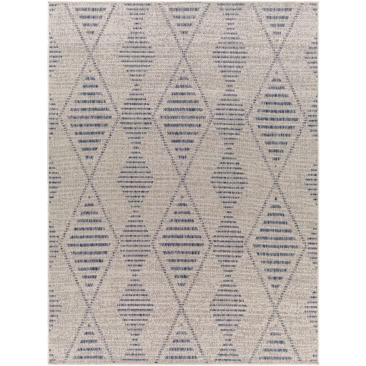 Tuareg TRG-2349 Rug