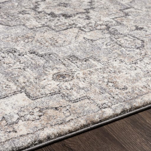 Tuscany TUS-2321 Rug