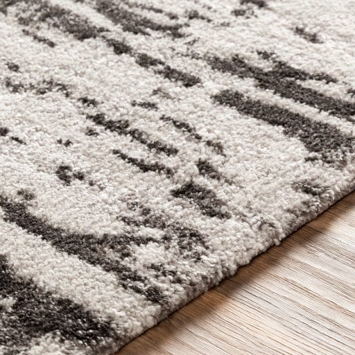 Venice VNE-2301 Rug