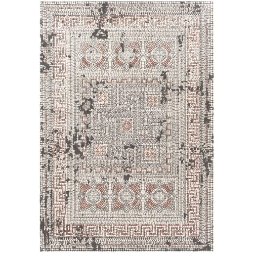 Venezia VNZ-2301 Rug